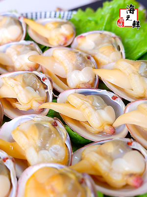 丹东特产大黄蚬子野生鲜活无沙生鲜海鲜贝类水产蛤蜊花甲4斤包邮
